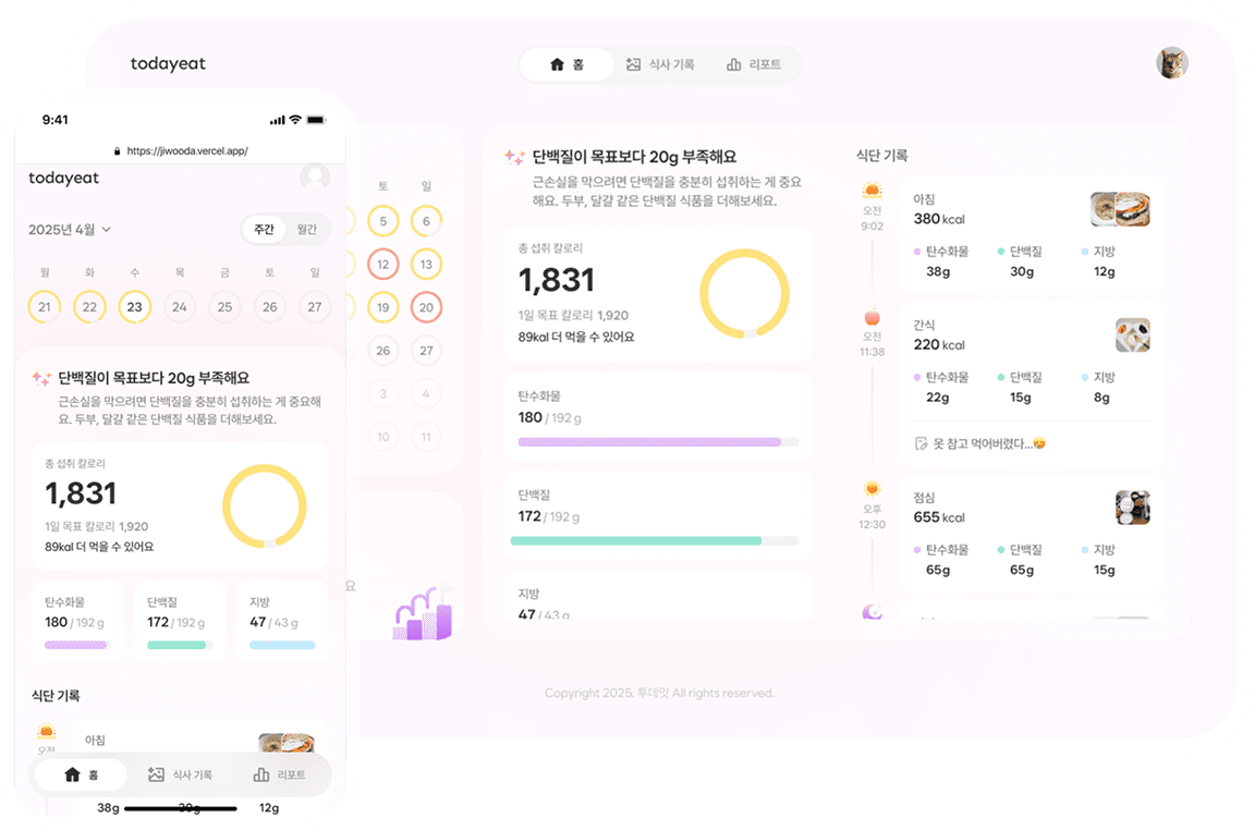 투데잇 앱을 통한 음식 분석 예시 화면